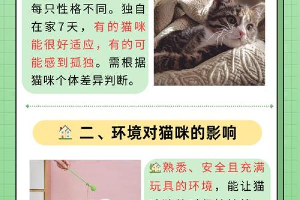 失去一条命的猫咪：陪伴与爱的深刻意义