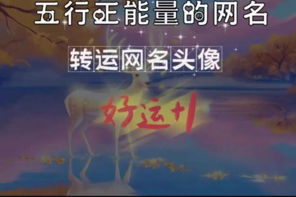 命里水旺木少，打造独特网名的智慧与思考