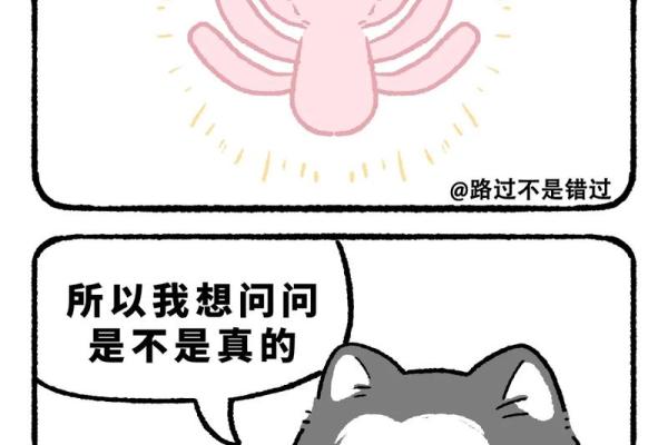 九条命的猫咪：探秘猫咪背后的神秘与传奇故事