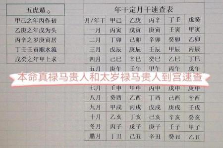 禄马贵人女命:运势佳人富贵智慧并存的命理分析