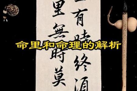 探讨命理：命与命意的深刻含义与生活启示