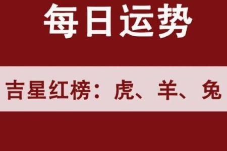 命里金多的虎适合佩戴什么饰品,来提升运势与魅力!