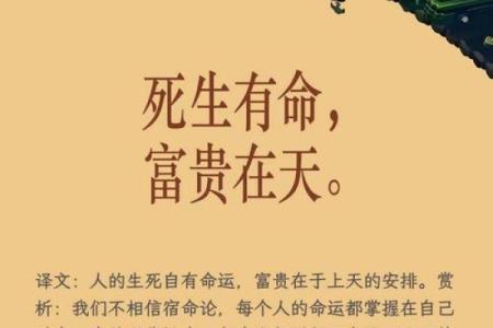 命5斤重的深意与生活启示,让我们重新审视人生价值