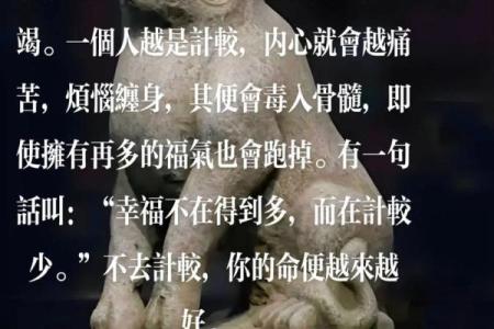 命不违命:取于命的深层意义与人生启示