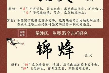 炉中火命起:如何选择一个与生俱来的幸运公司名称