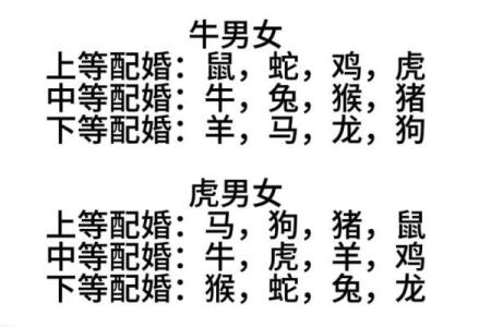 男人金命和什么命最配,缘分与生肖的完美结合