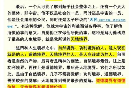 探秘林中兔命：从自然神秘到人生哲学的探索