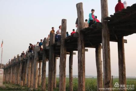 探秘林中木命:解读生命能量与内心成长之旅