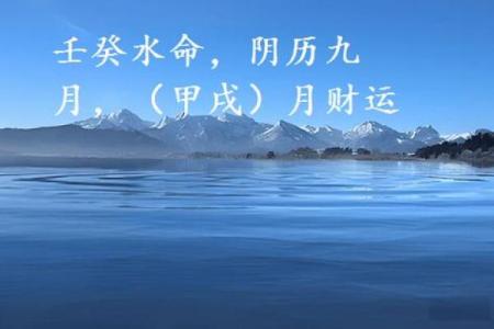 探索葵水命：解密其生理特征与命理需求的奥秘