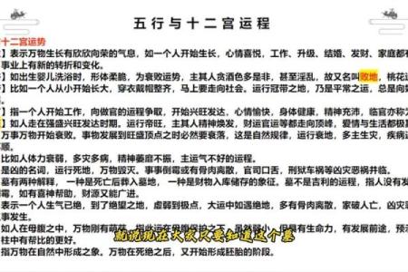 明年出生的五行命理解析:你是金木水火土哪个命?