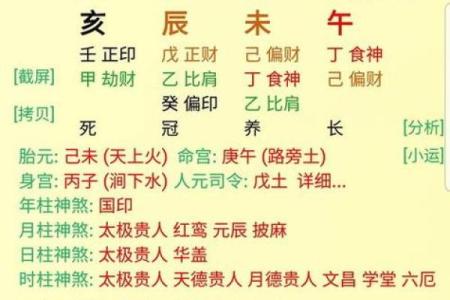 探秘女命伤官八字的深刻含义与人生影响