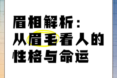 面相中男生眉毛多的命运解析:暗藏的性格与人生机遇