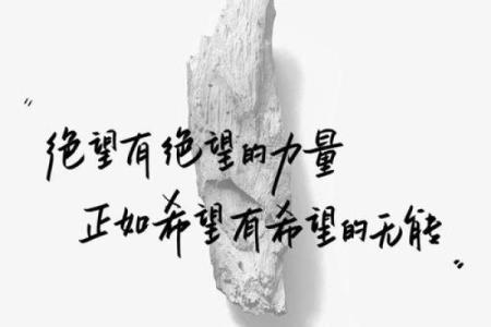 生命的边缘：当希望与绝望交织时的心路历程