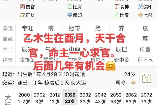 探究男命流年食神：解密命理中的吉凶与运势变化