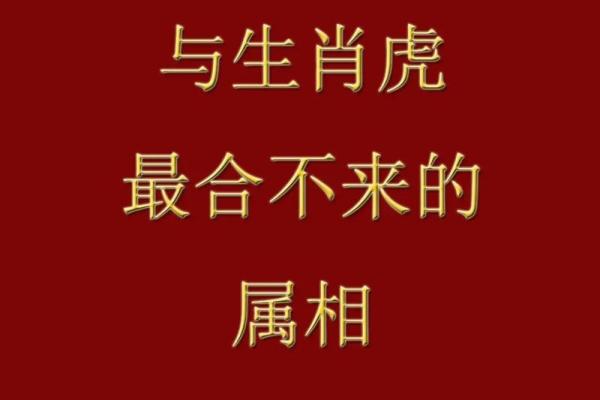 命中有3朵金花，运势翻天覆地的秘密解析！