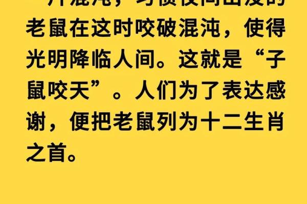 探秘命理：梁上之鼠的命运究竟如何？