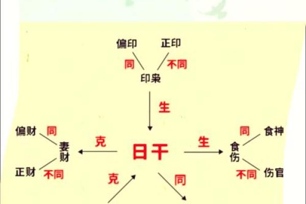 探秘女命十神：解读六亲与命理的深厚关联