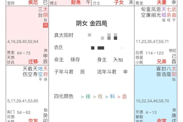 女木命最佳配对详解：寻觅幸福人生的指引