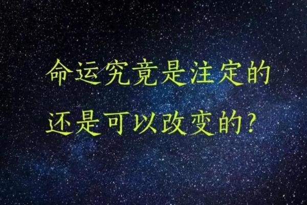 2008年出生的人：命运与潜力的纵深解析