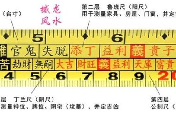 2008年出生的人：命运与潜力的纵深解析