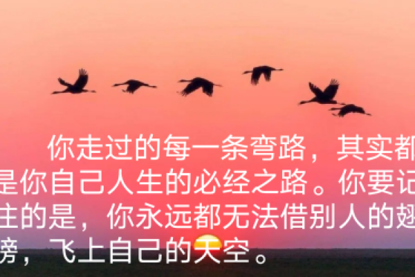 命里的花红命：探索命理中的鲜活意义与人生之路
