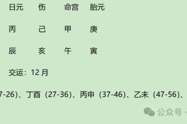 探究女命命宫癸巳的奥秘与人生启示：命理背后的深意