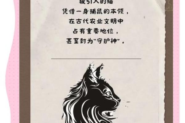 探索猫咪的神秘性：究竟哪种猫有“九条命”？
