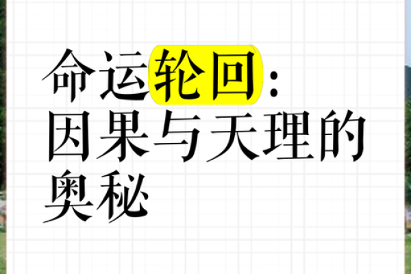 命里有解神：探秘命理与人生的奥秘