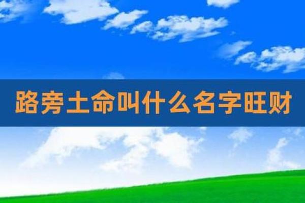 探索路旁土命：与生命之土的深刻联系与启示