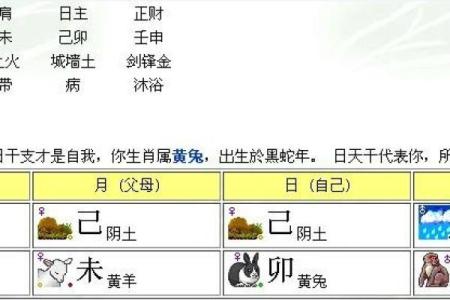 探索农历十月八日出生者的命运与性格特征