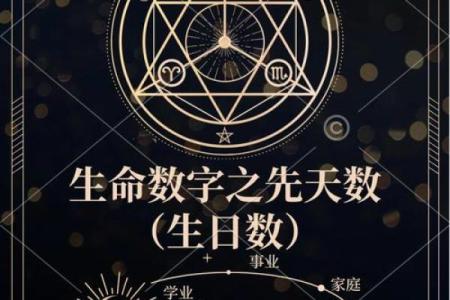 君臣之命:解密命格背后的神秘意义