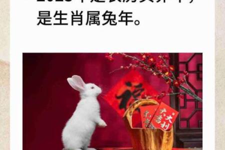 农历三月兔的命运解析:解密兔年小兔子的命理之旅