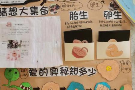探寻“命”字的奥秘:揭示生命的意义与价值