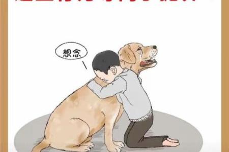梦见狗救我们命的深层含义解析与启示