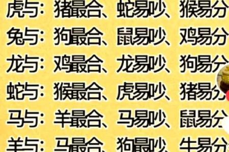 木命与水命的颜色选择:揭示五行相生的奥秘
