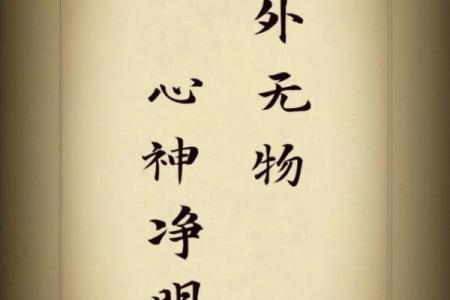 命不与命争:平和面对生活中的起伏与挑战