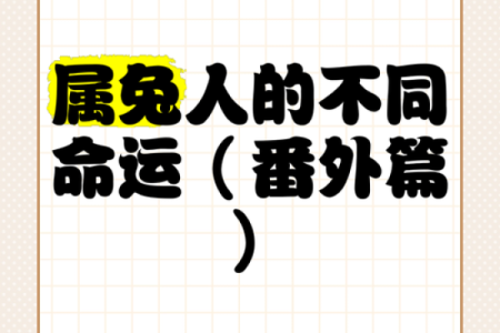 炉中火命属兔:探寻生活中的缺失与提升之道