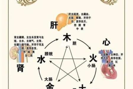 命理五行：揭示人与自然关系的奥秘