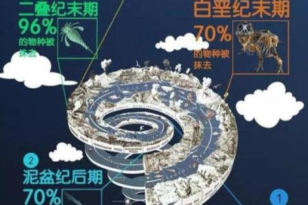 卵巢的神秘消失:揭开生命之谜的面纱