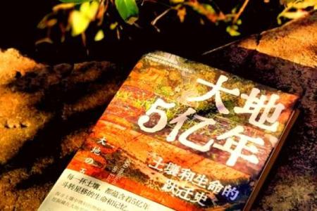 探索路旁土命:与生命之土的深刻联系与启示