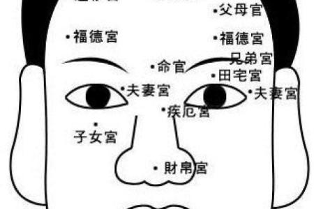 探究木命生育儿童的命运与性格特征