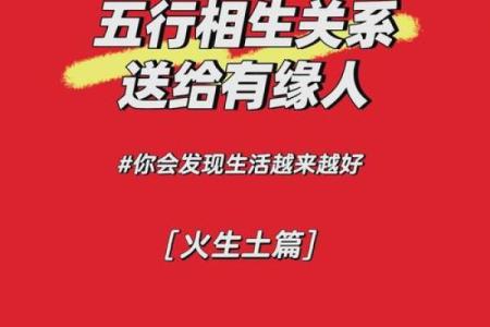 炉中火命与木命的绝妙搭配:解密命理中的完美组合