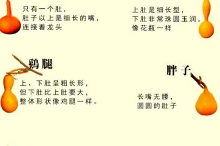 深入探讨木命喜用神金水的宜用葫芦揭秘