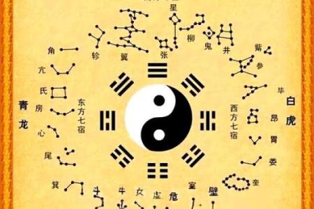 男坤命的人:命理解析与性格特征,助你走向人生巅峰!