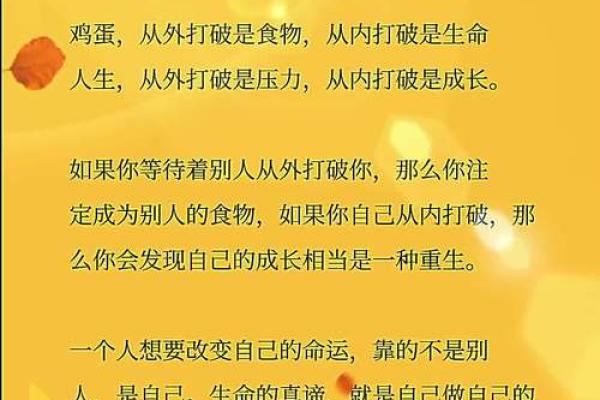 命里有天助，人生为何如此充满机遇与挑战？
