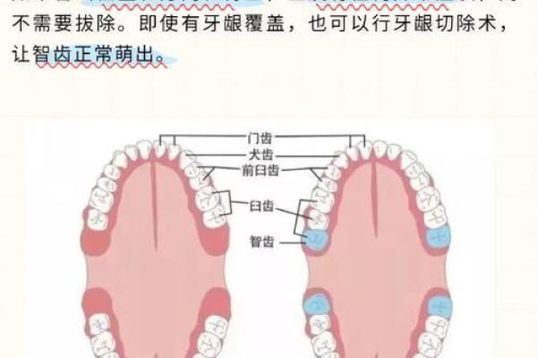 女人22颗牙是什么命？揭示牙齿与命运的神秘关系！