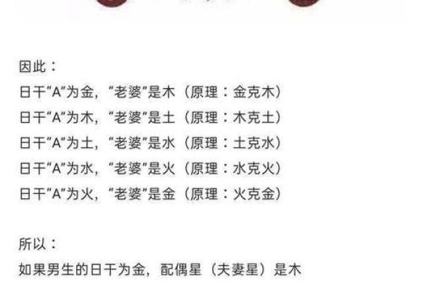 深入探讨命理学中的正财概念及其含义
