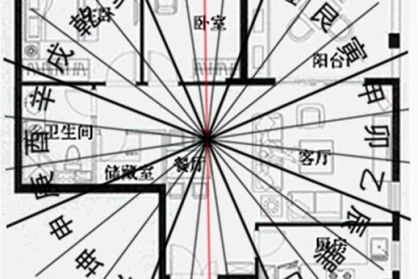 命理分析：2006年7月8日出生的命运之旅