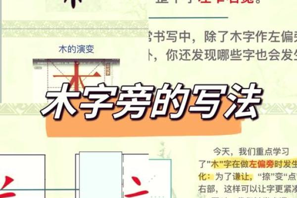 命字结构与部首的奥秘：探索汉字背后的智慧与文化