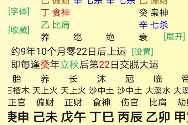 食神男命的优势与发展方向探讨